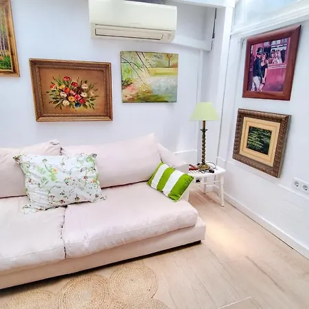Loft Con Encanto Centro Daire
